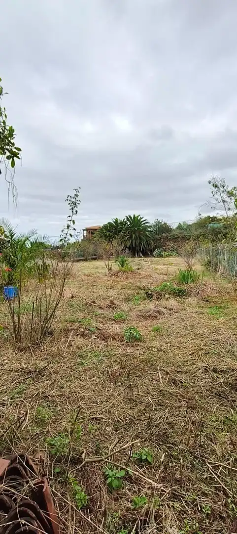 Finca rústica en venta en Camino REVENTON EL, La Vega - El Amparo - Cueva del Viento