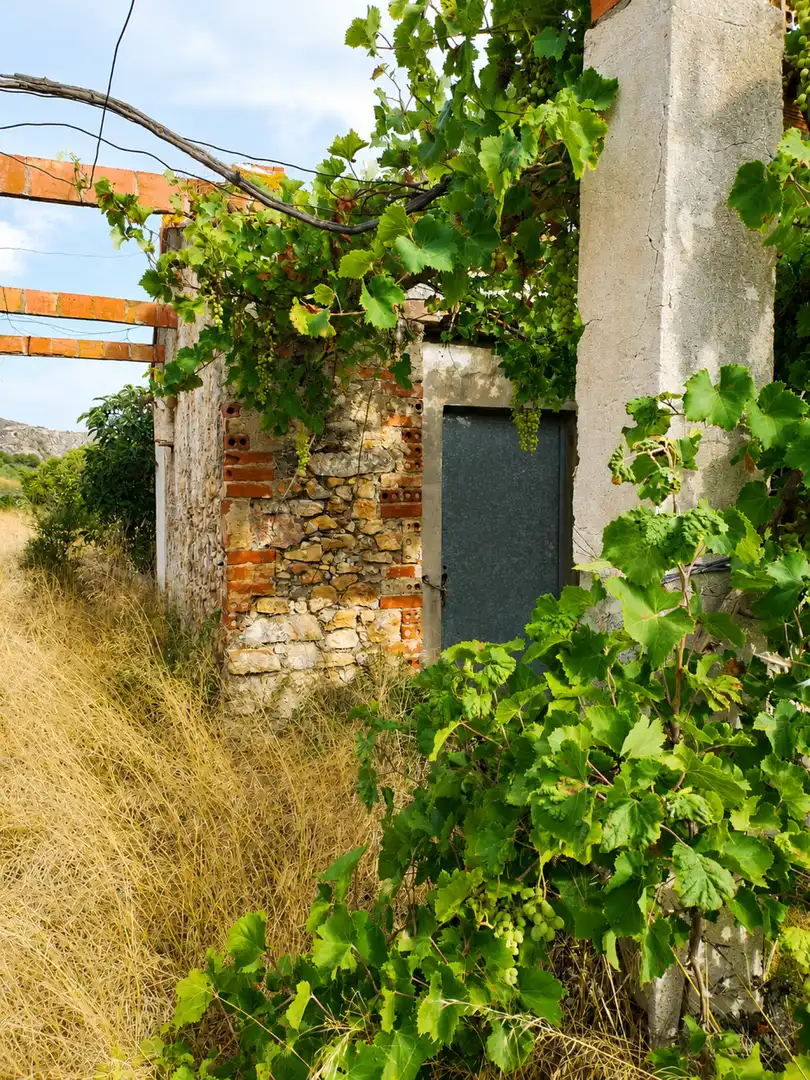 Vista exterior de Terreny en venda en Almenara