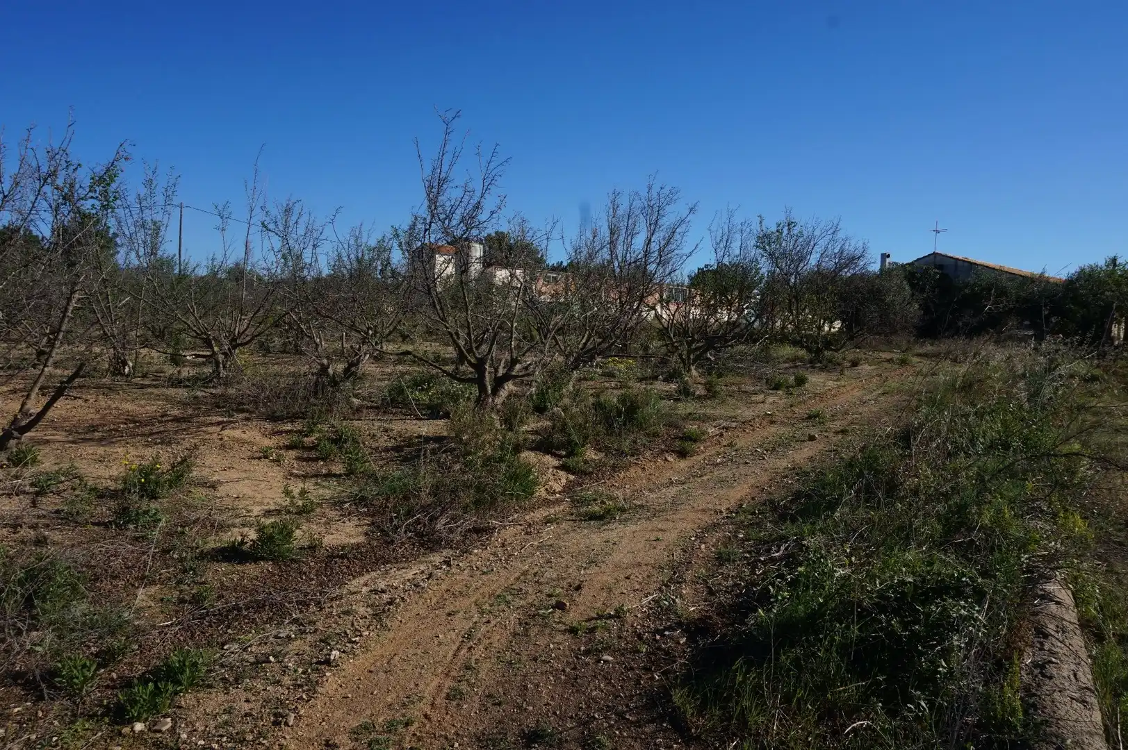 Terrenys i solars en venda a Planes del Roquis, imagen 10
