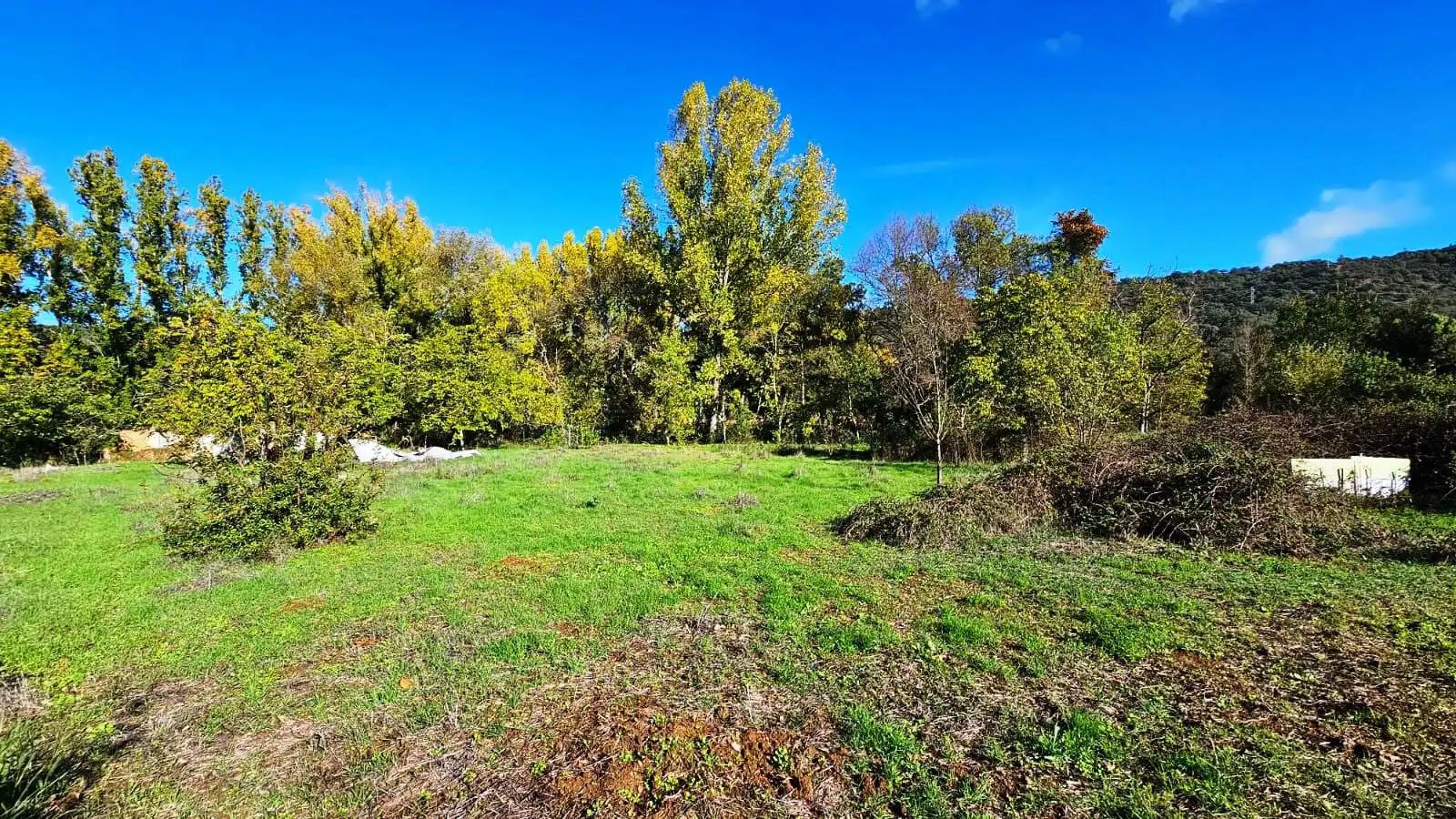 Terrenos y solares en venta en La Nava, imagen 4