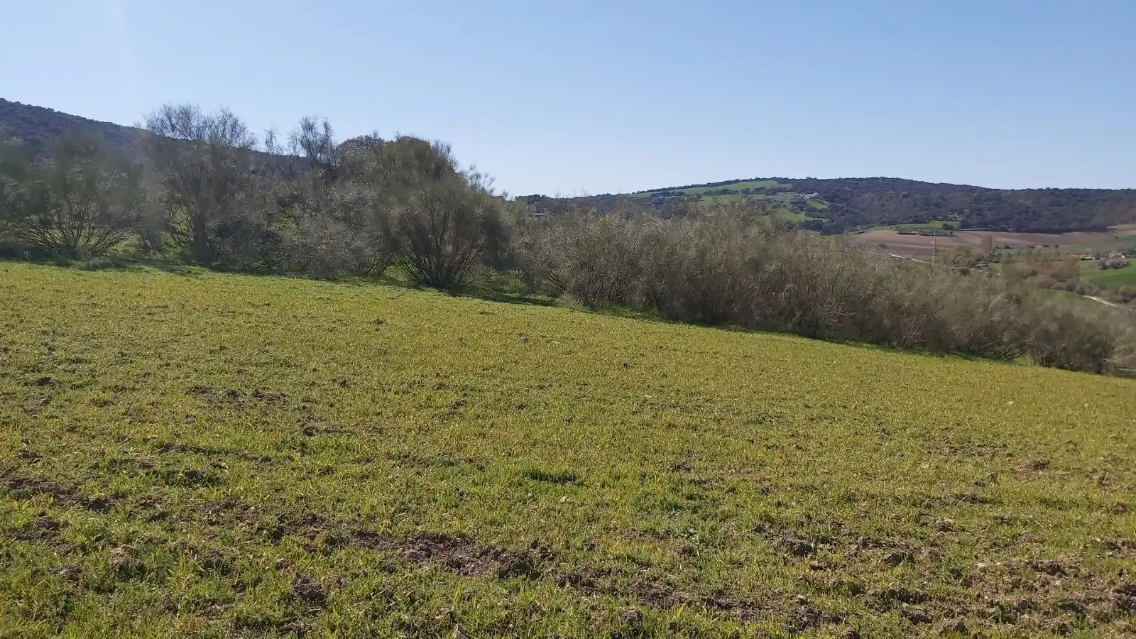 Terrains et parcelles à vendre à Setenil de las Bodegas, imagen 2