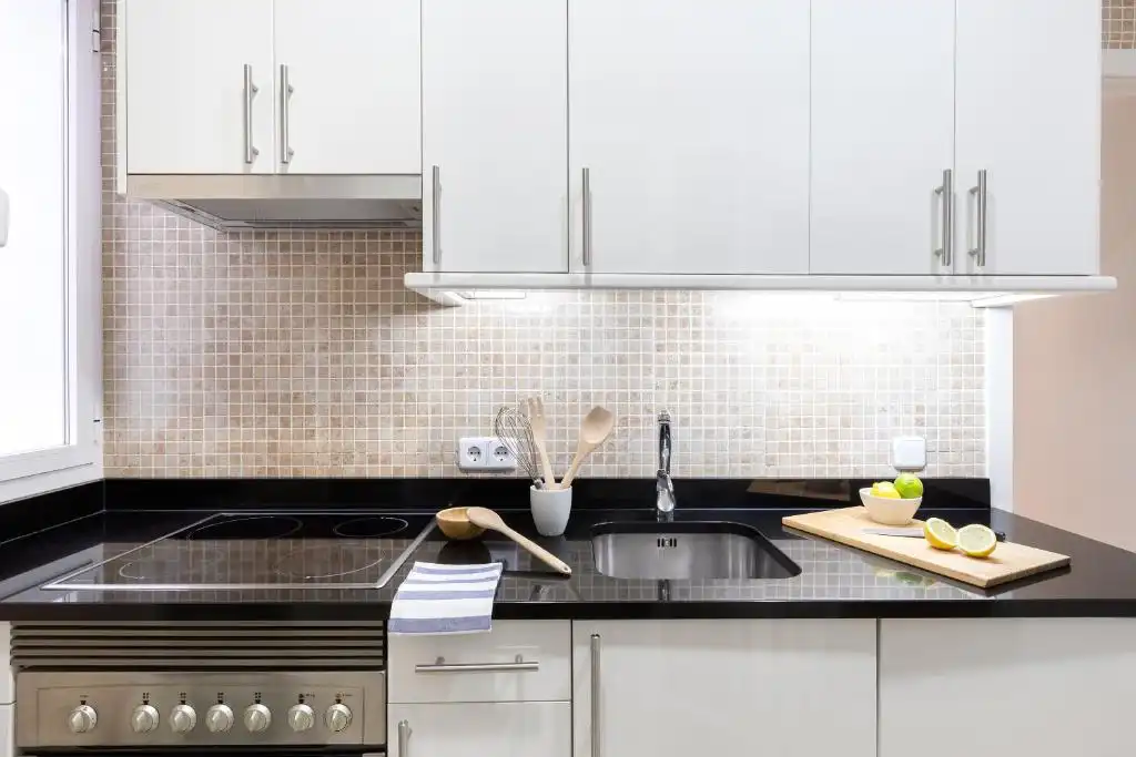 Kitchen of Study for rent in L'Hospitalet de Llobregat  with Furnished and Pets allowed