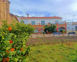 Vista exterior de Casa o xalet de lloguer en El Pinar amb Calefacció, Jardí privat i Terrassa