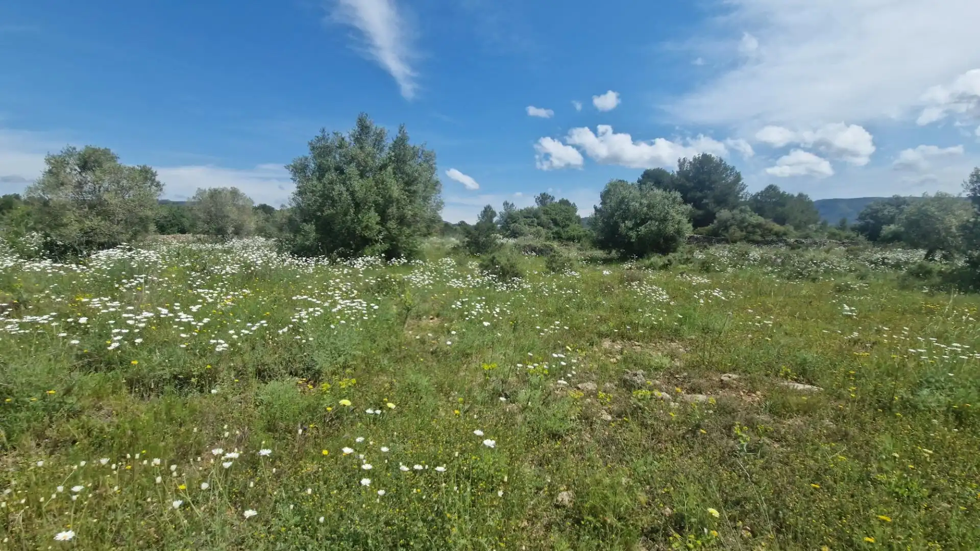Terreno en venta en 43817, 17, El Pont d'Armentera