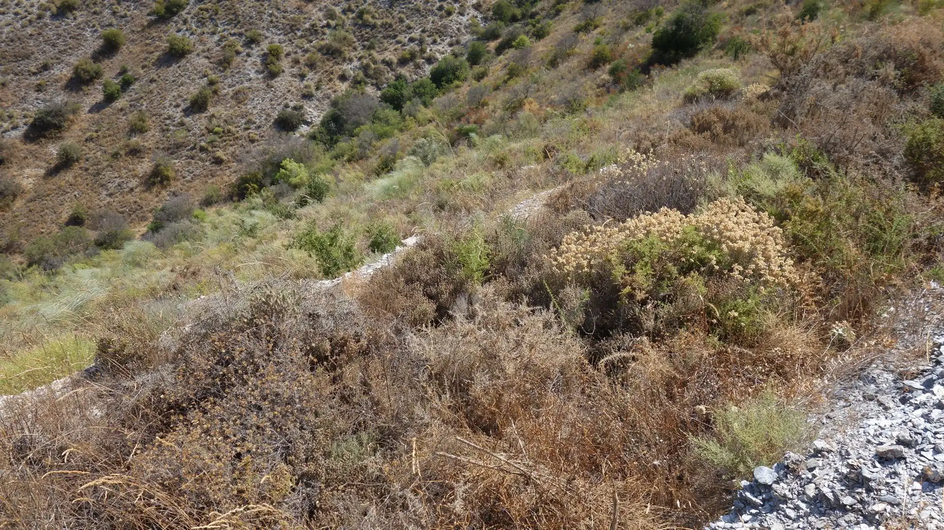 Finca rústica en venda en Motril amb Terrassa i Moblat
