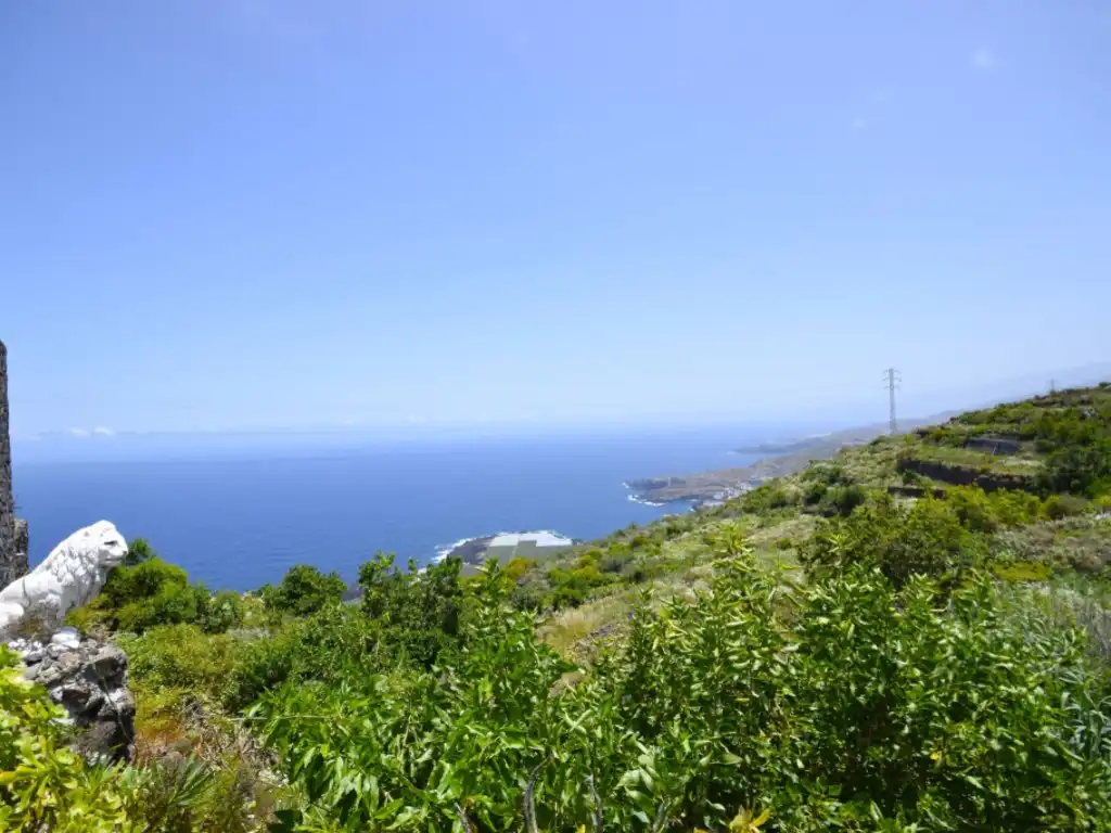 Vista exterior de Finca rústica en venda en Garachico