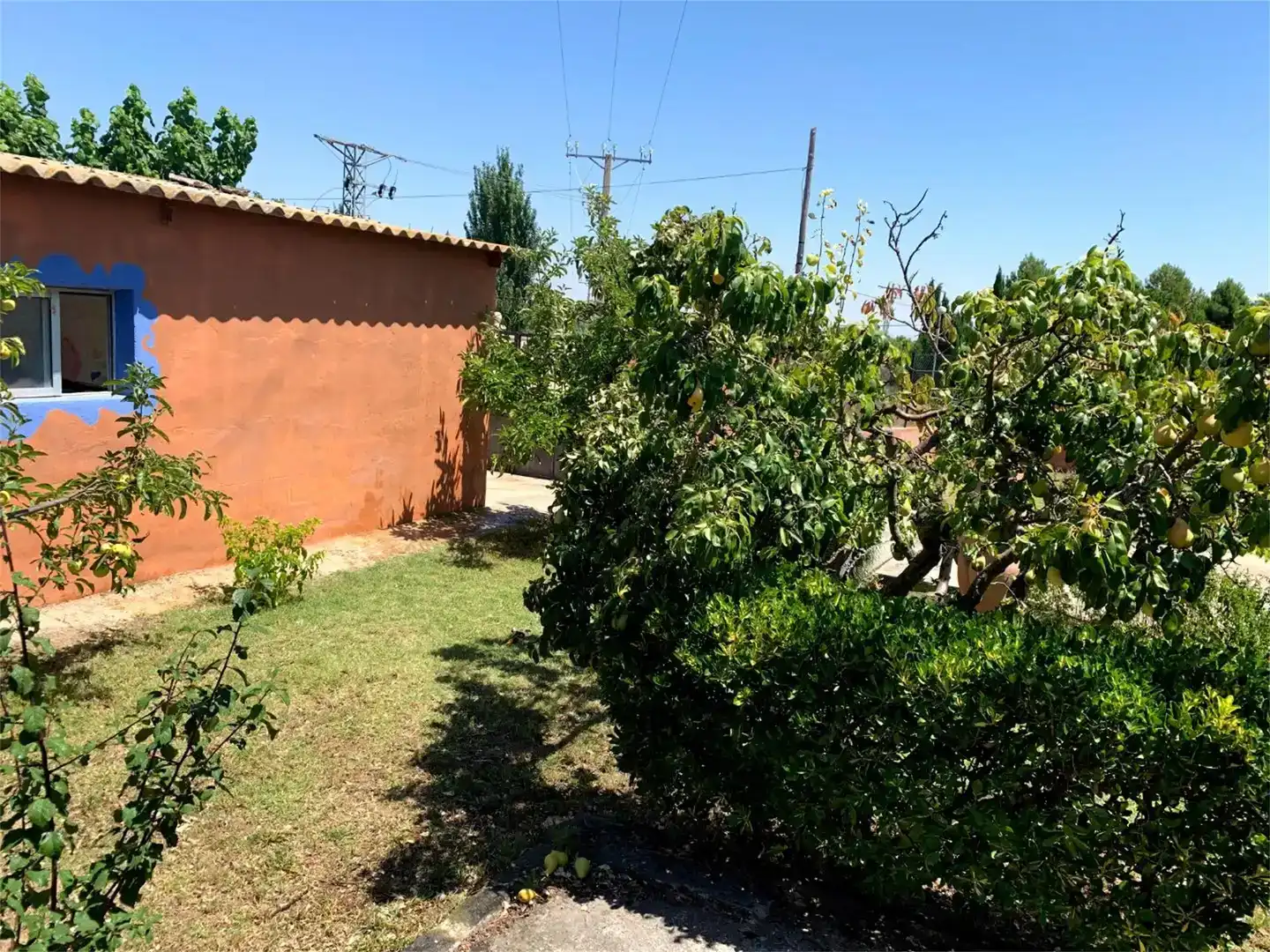 Jardí de Casa o xalet en venda en Codo amb Jardí privat, Parquet i Piscina