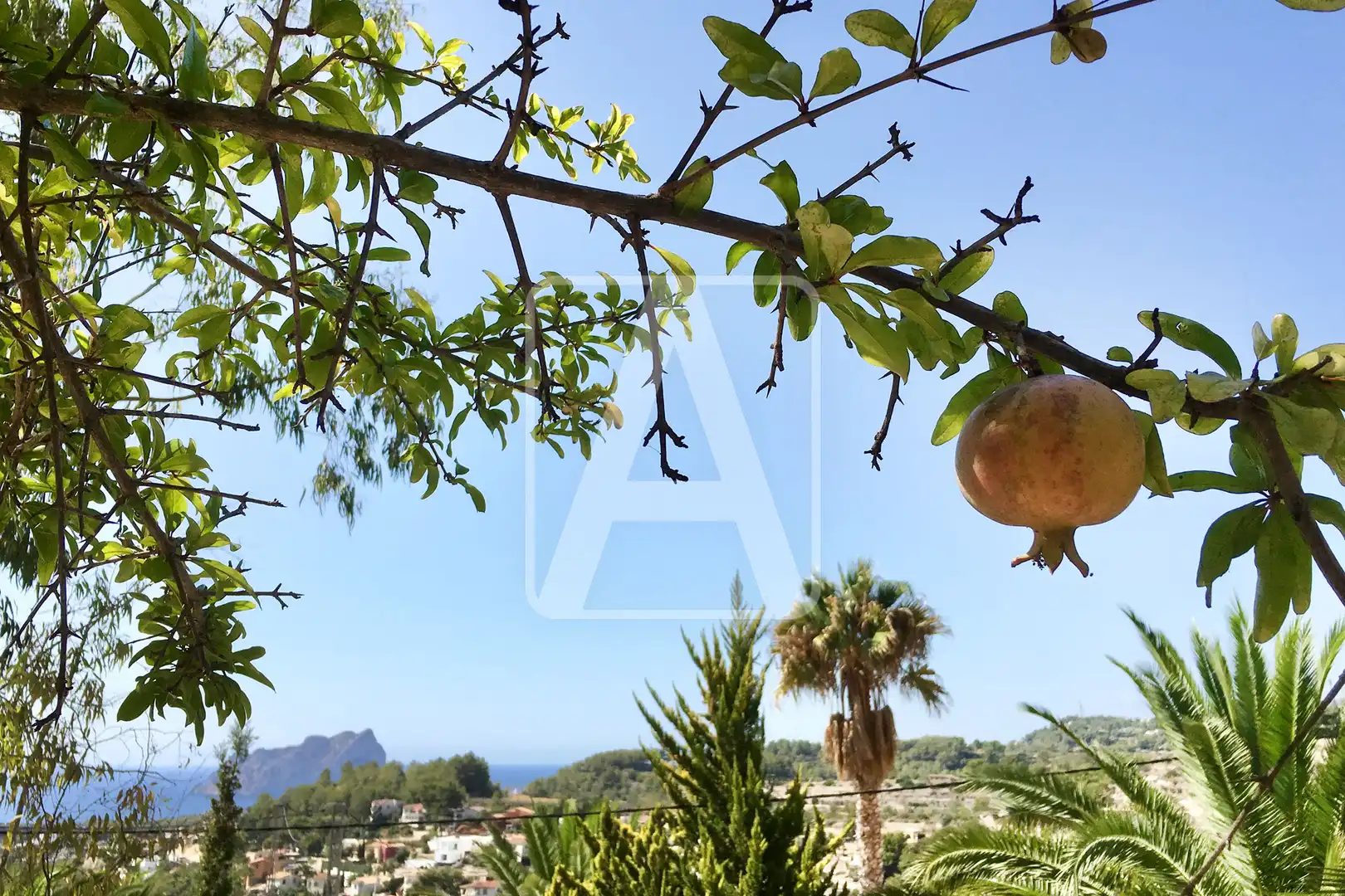 Villa con piscina in vendita a La Viña - Montemar - San Jaime, imagen 60