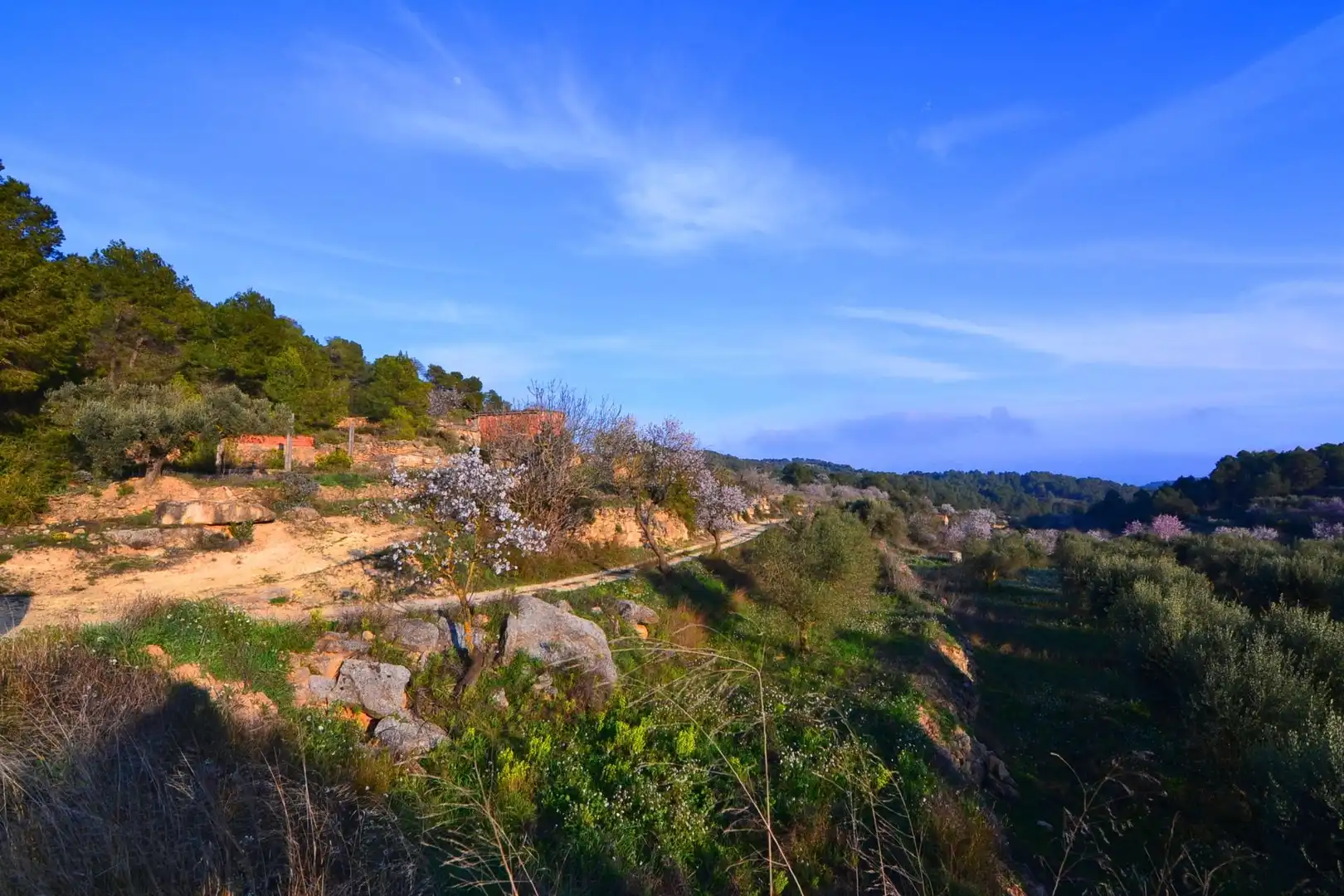 Rural land for sale in Corbera d'Ebre, imagen 10