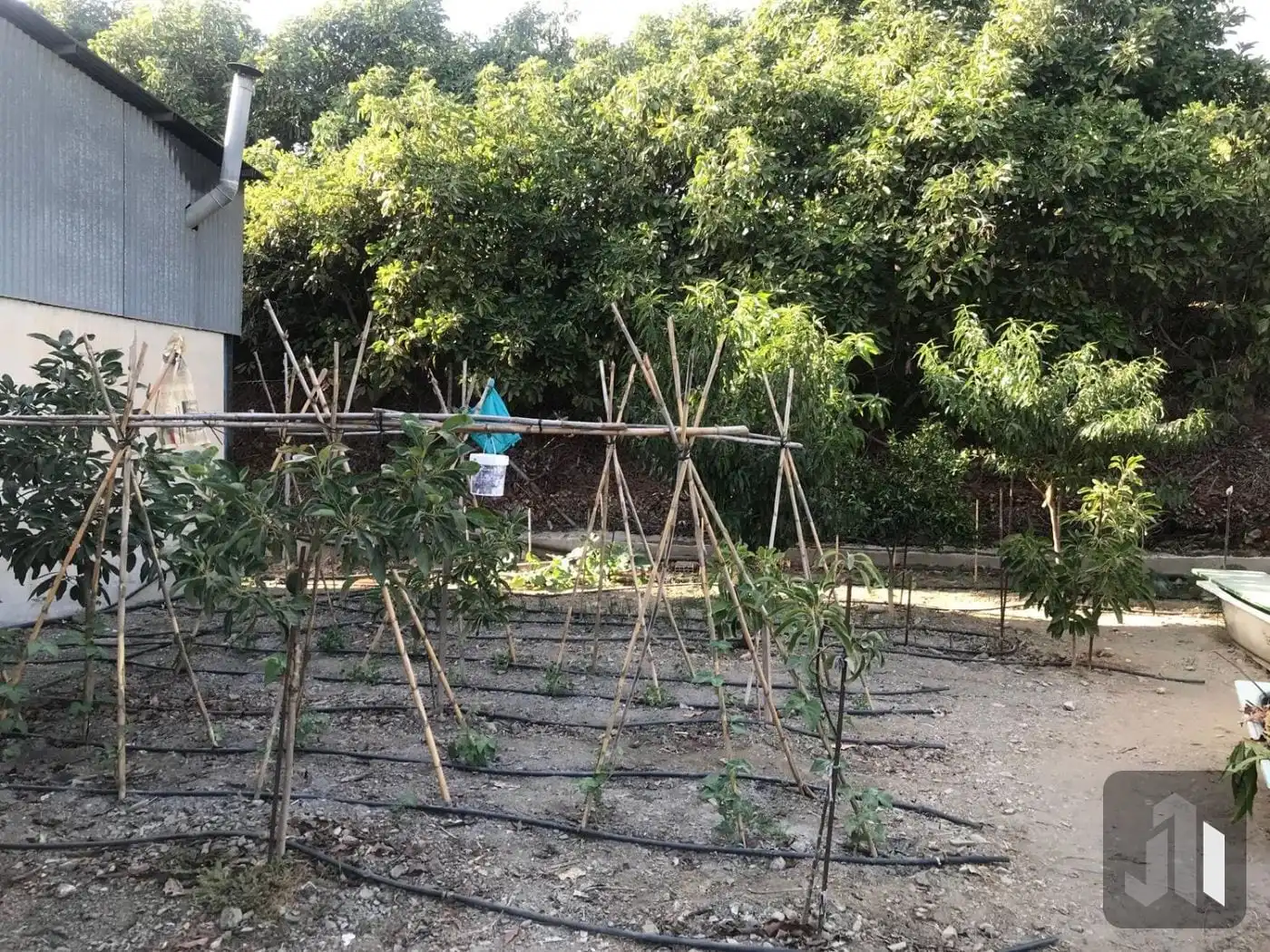 Casa rustica con piscina in vendita a Vélez-Málaga ciudad, imagen 11