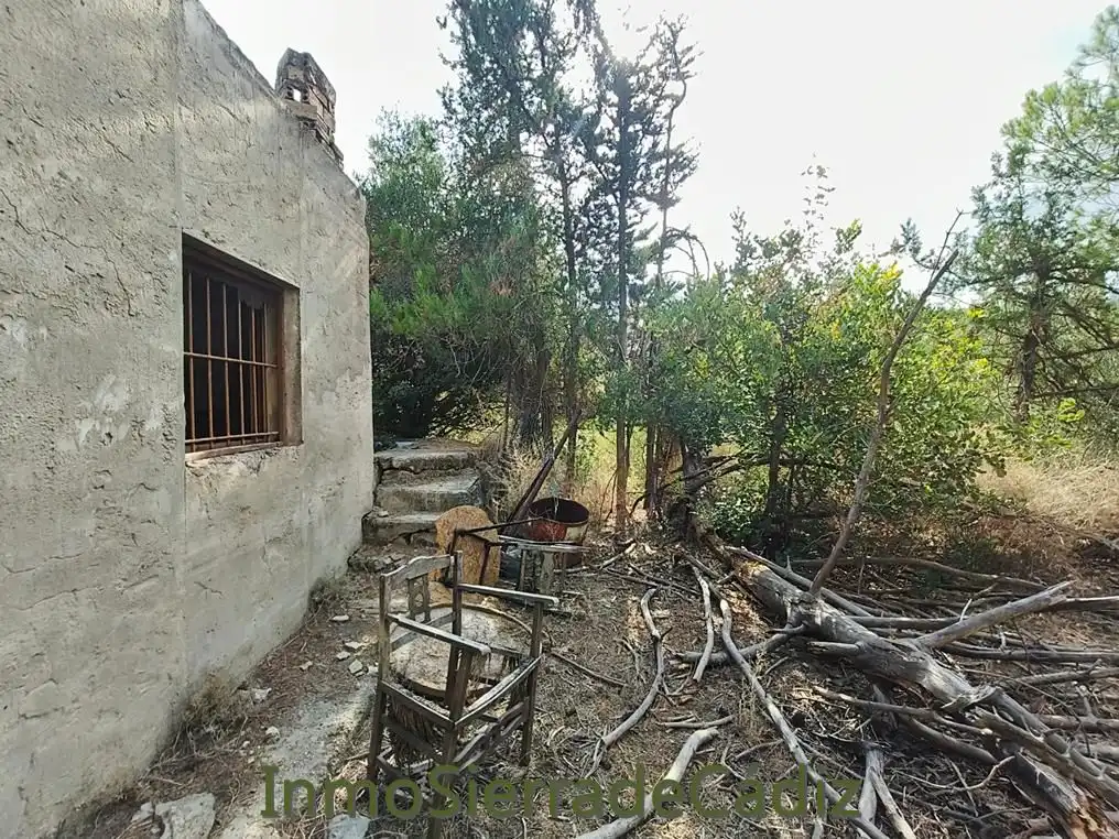 Finca rústica en venda en Algodonales