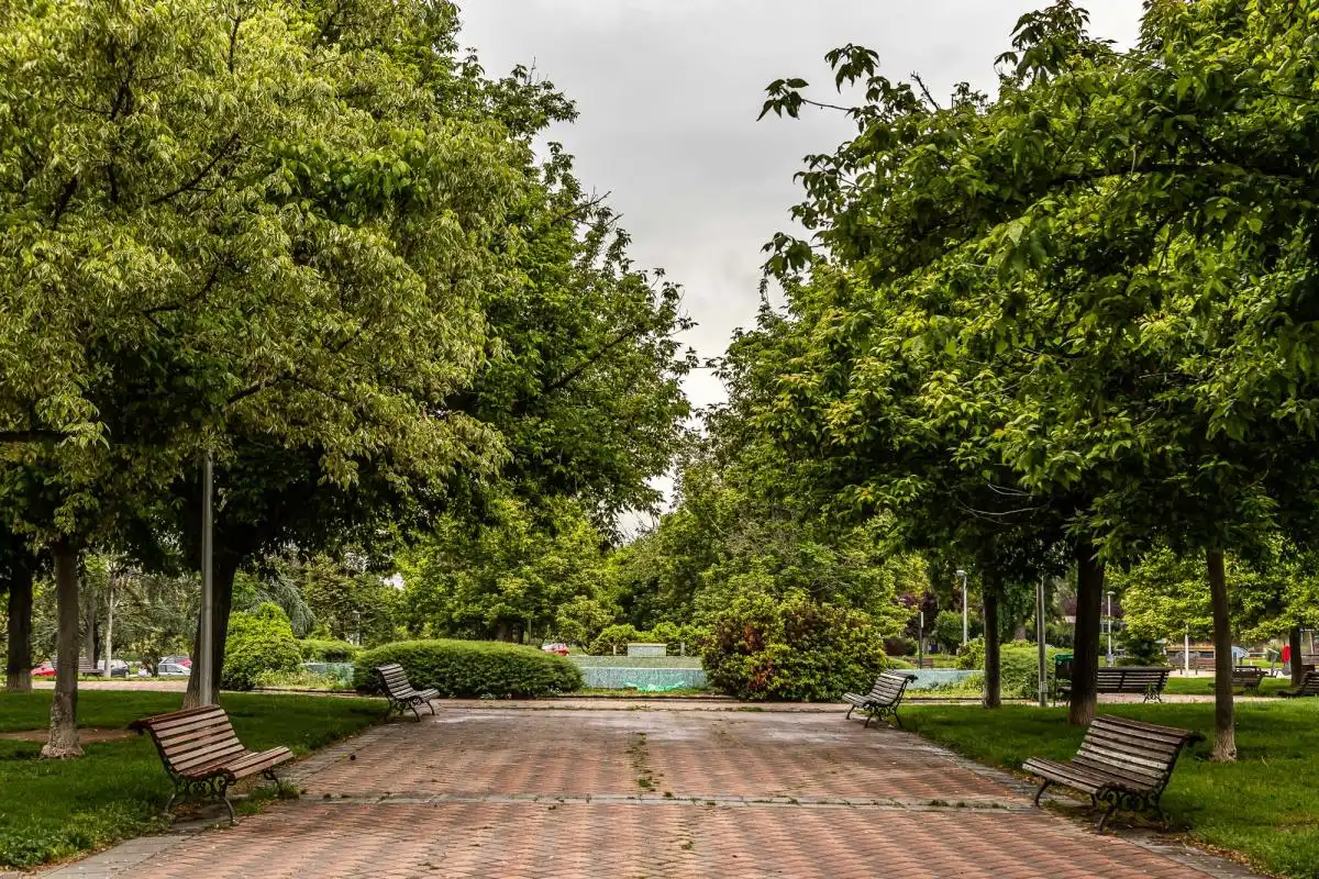 Garten von Gebäude zum Verkauf in Alcorcón