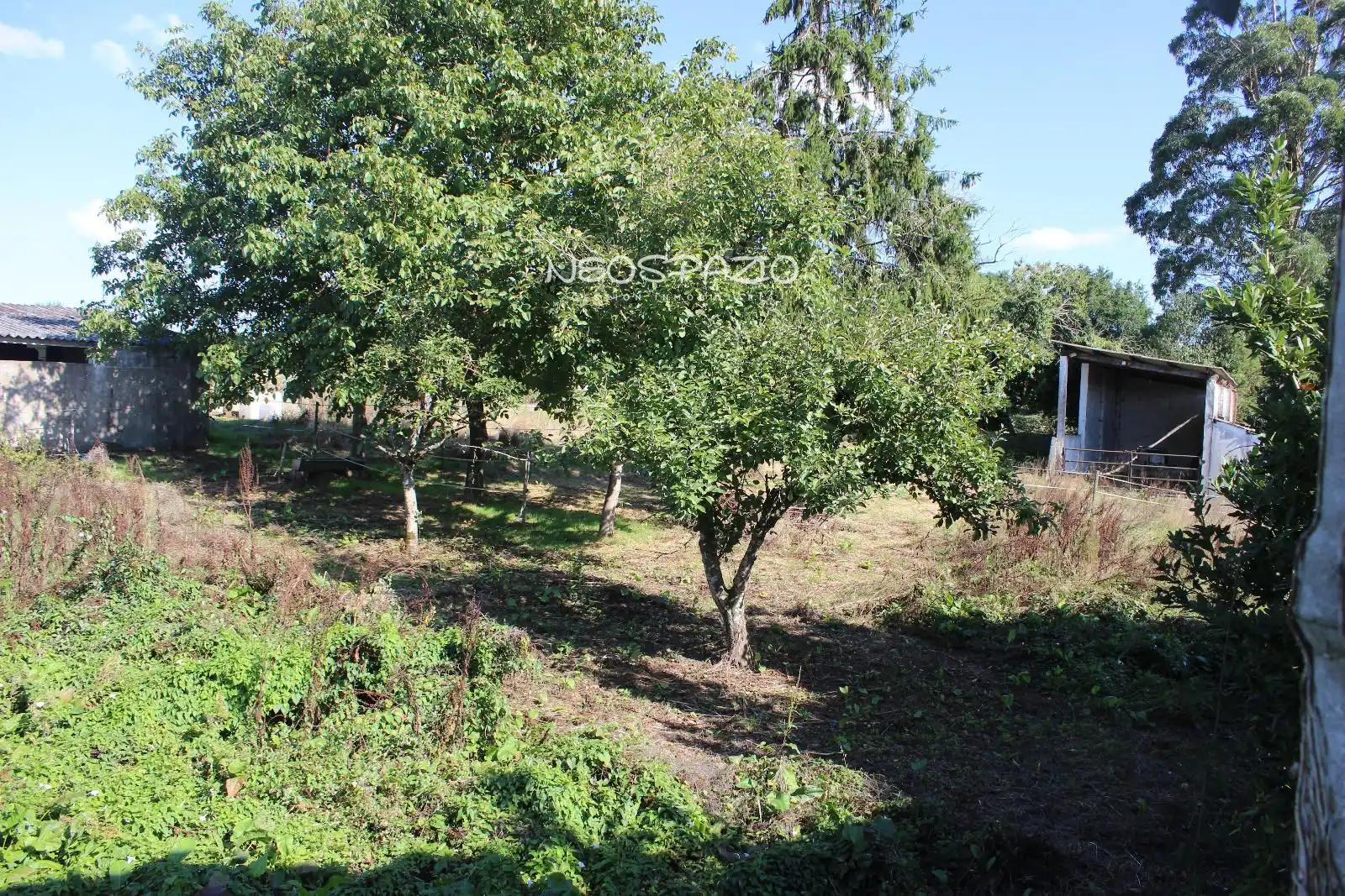 Casa in vendita a Aldea - San Pedro - Begonte, imagen 18