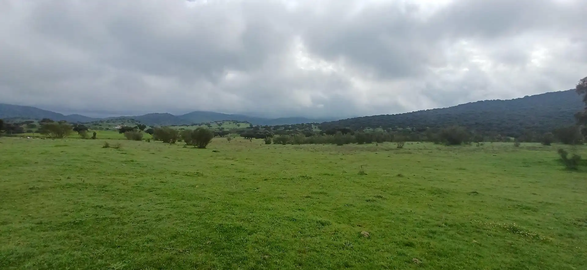 Finca rústica en venta en Jerez de los Caballeros