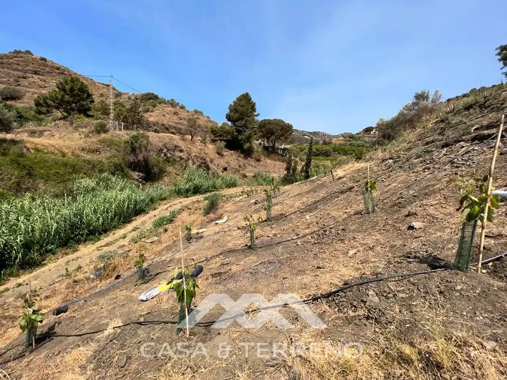 Residential for sale in Torrox