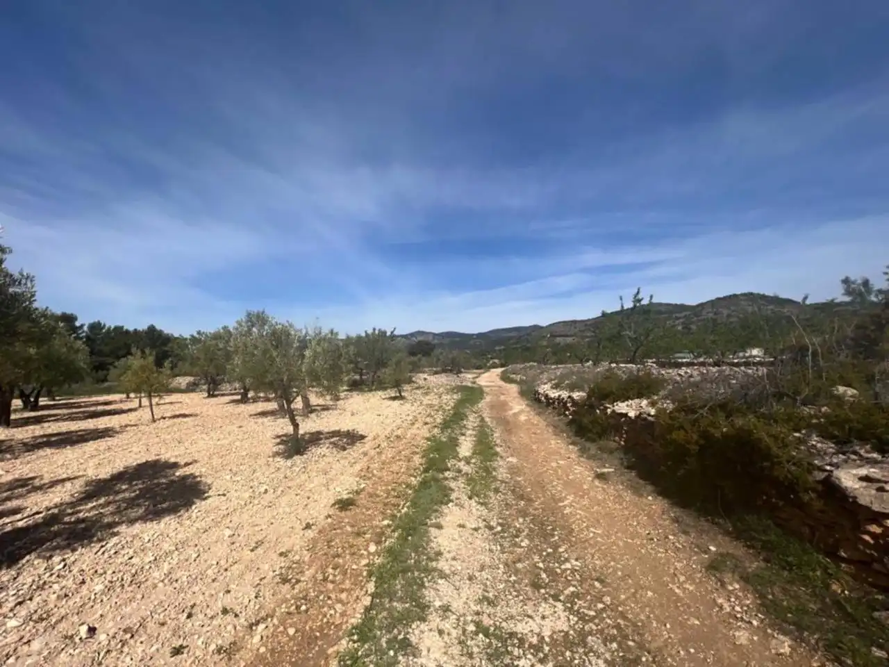 Chalet con jardín en venta en Calle Poligono, imagen 82