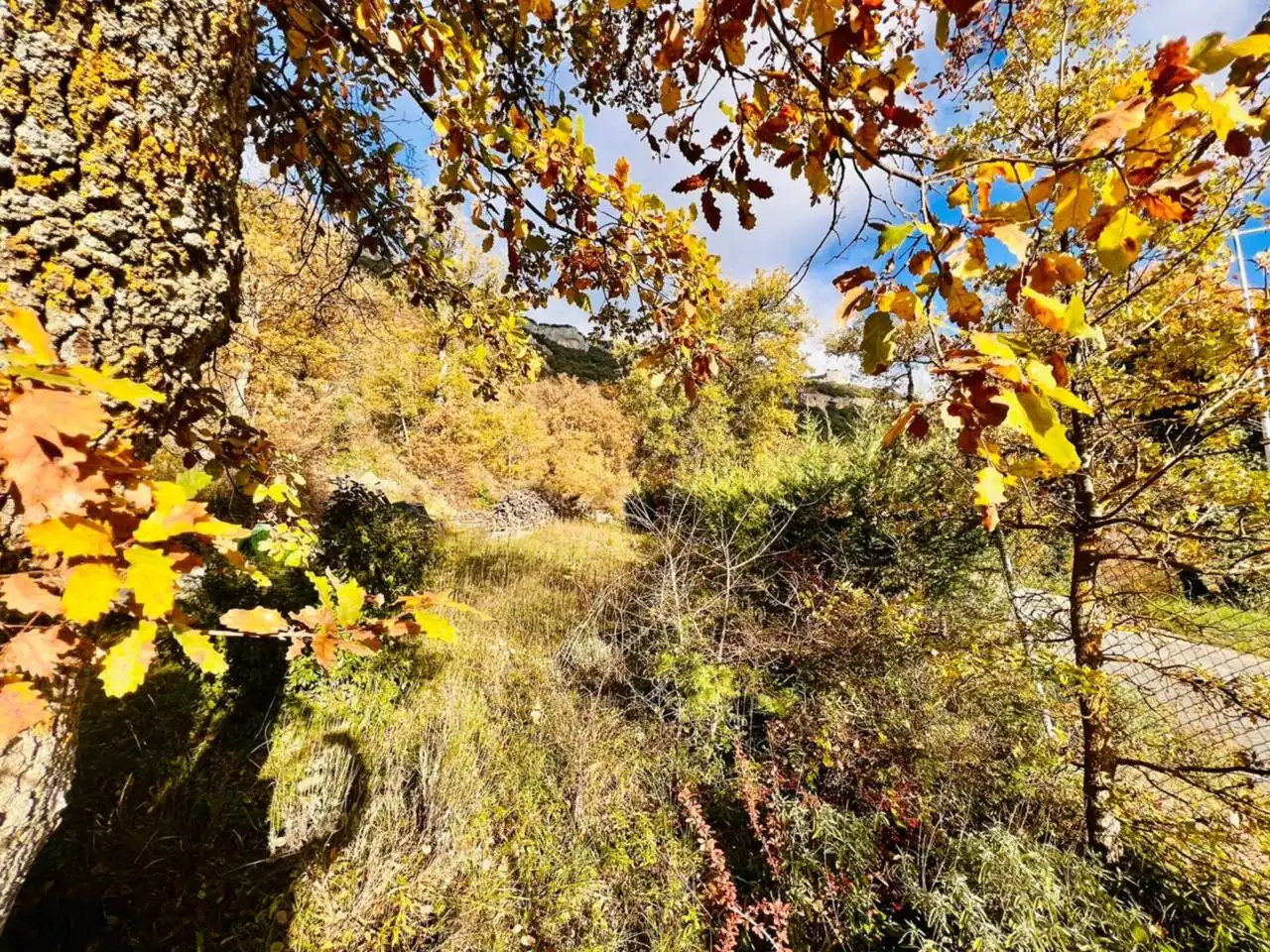 Land for sale in Sargentes de la Lora