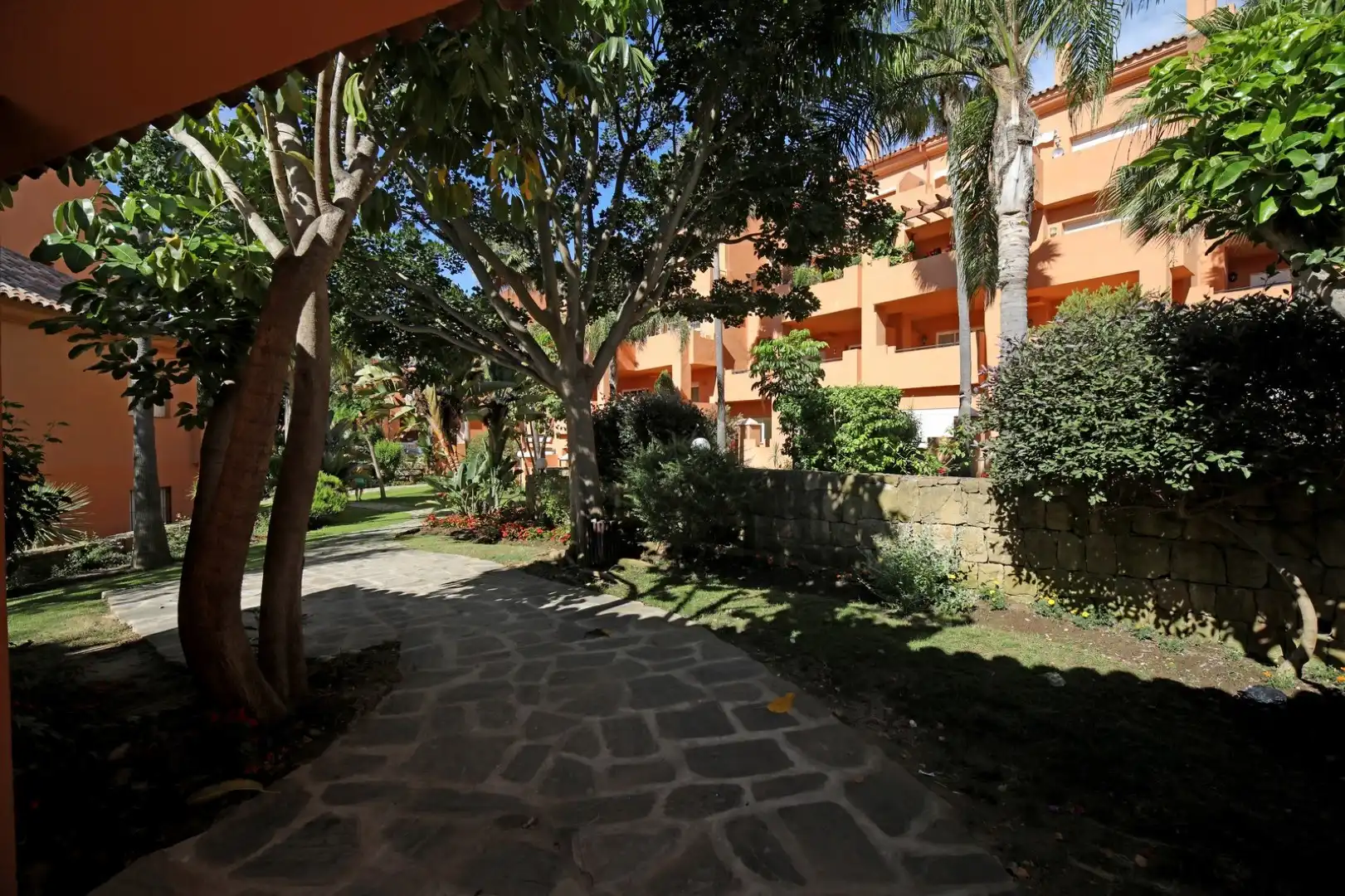 Vista exterior de Planta baja de alquiler en Estepona Pueblo