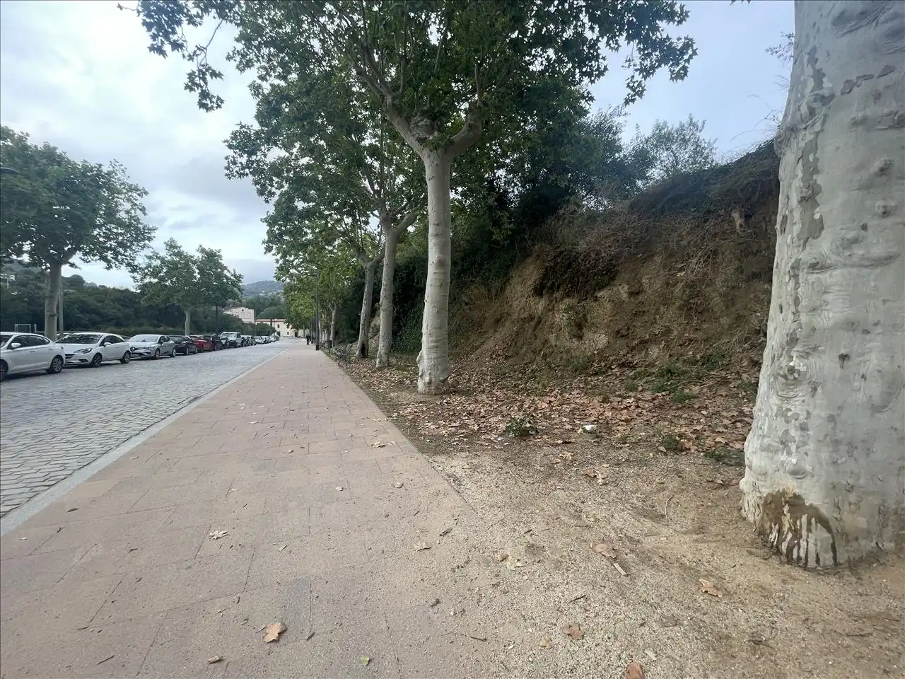 Wohnbaugrundstück zum Verkauf in PLA DE PALOU, imagen 6