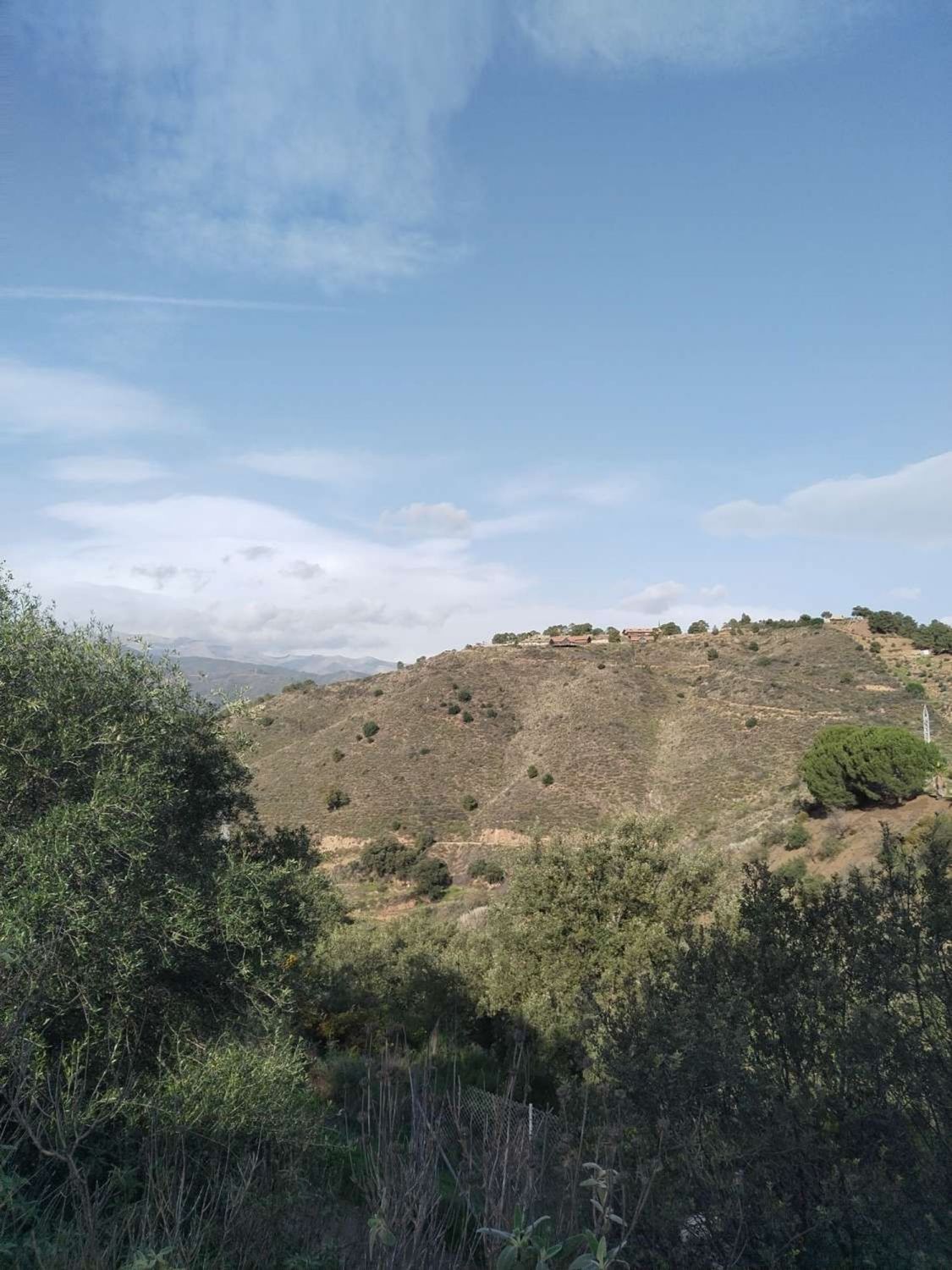 Land for sale in Santa María de Guía de Gran Canaria