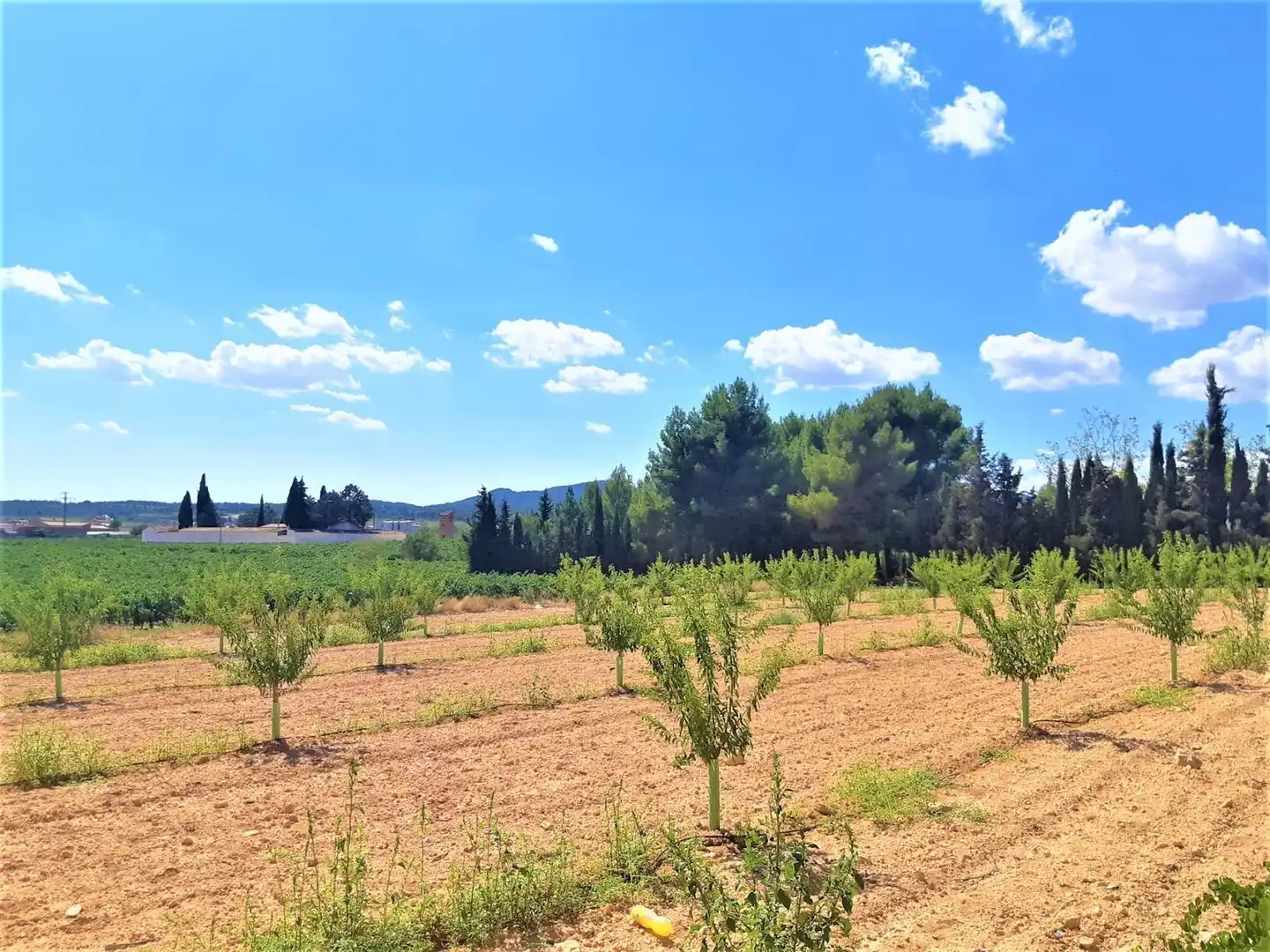 Wohnbaugrundstück zum Verkauf in Carretera Caudete - Los Corrales 2, imagen 24