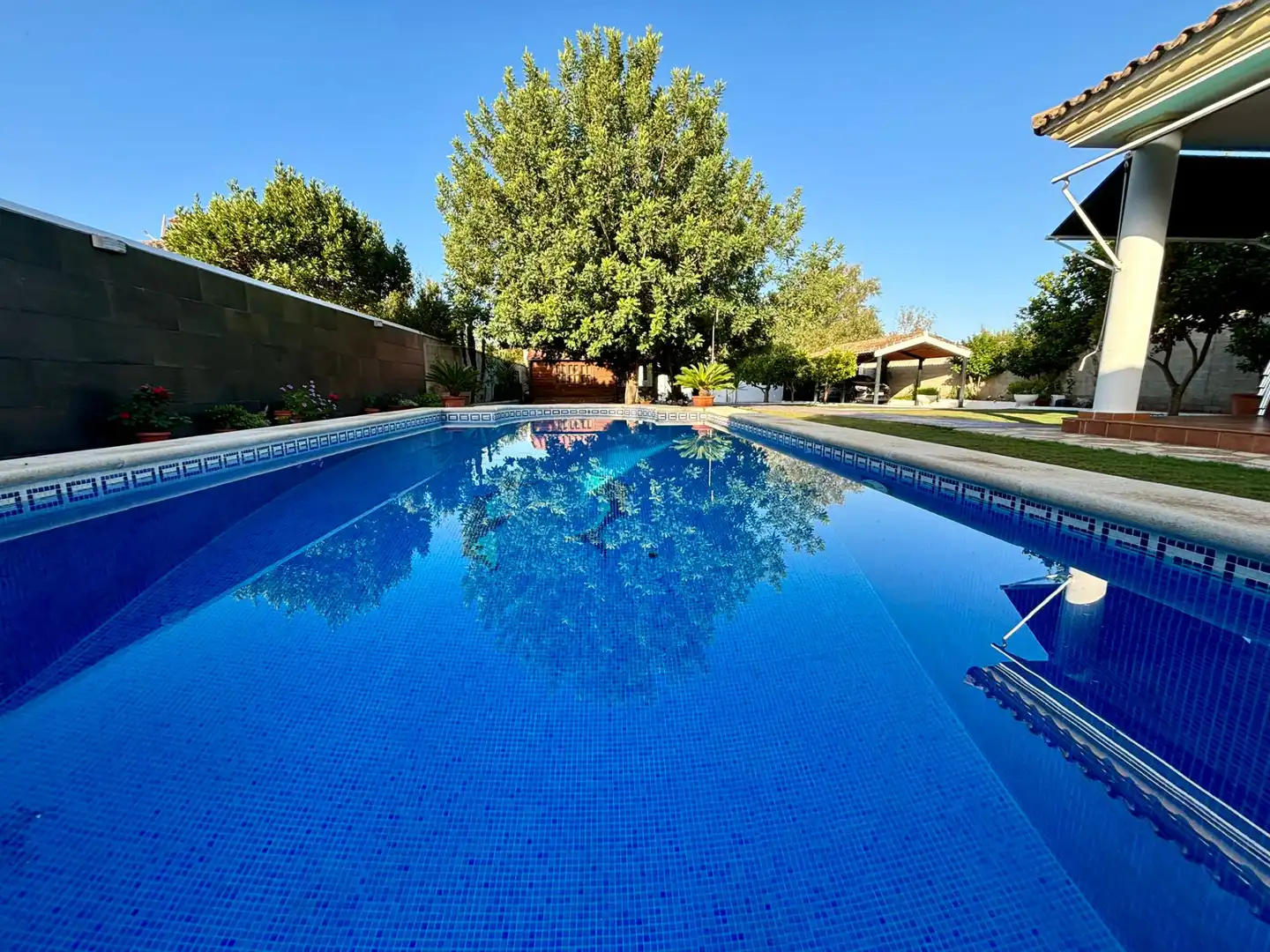Piscina de Casa o xalet en venda en Arcos de la Frontera amb Jardí privat, Traster i Piscina