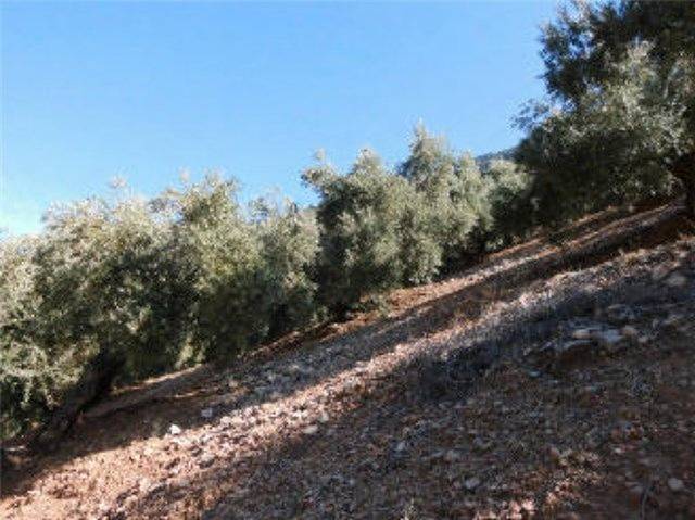 Terreno en Venta en N/A en Sorihuela del Guadalimar