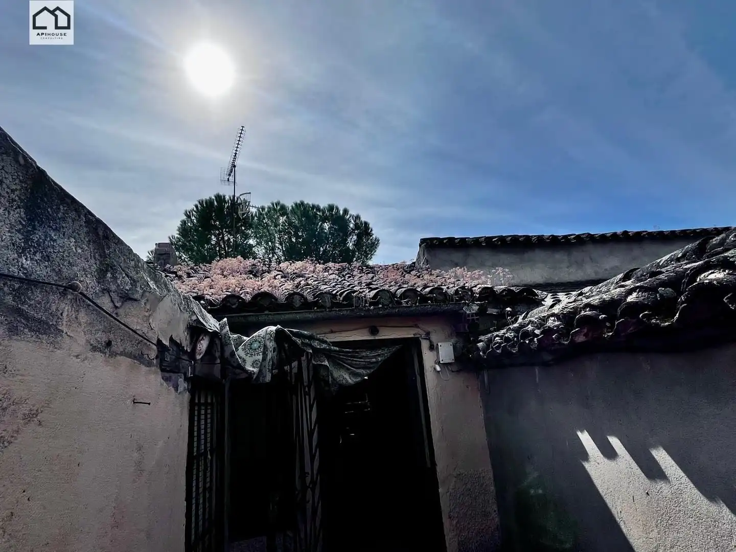 Vista exterior de Finca rústica en venta en Montearagón