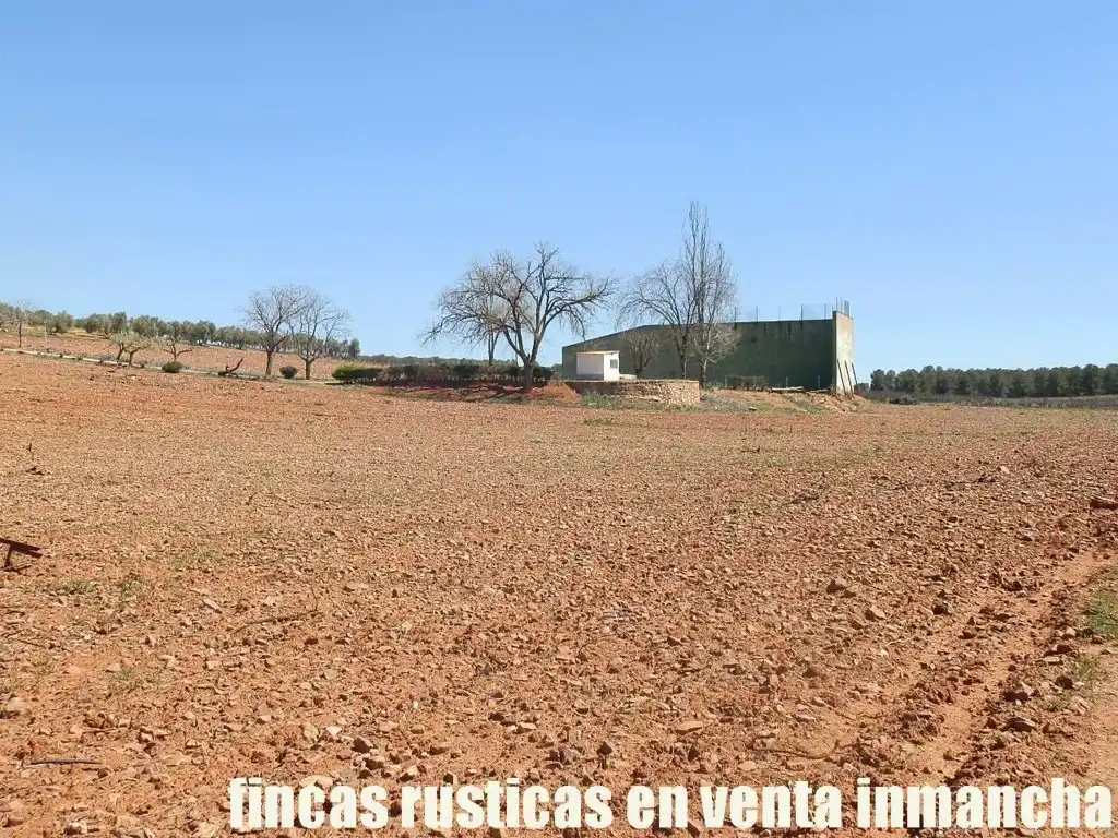 Rural land for sale in Valdepeñas, imagen 30
