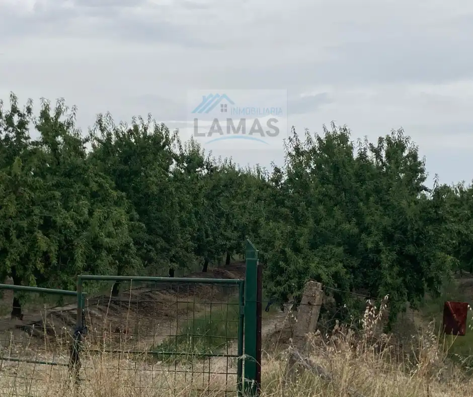 Terreni e lotti in vendita a Saucedilla, imagen 18