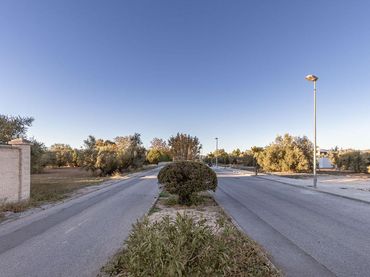 Terreni e lotti in vendita a Pantano de Cubillas