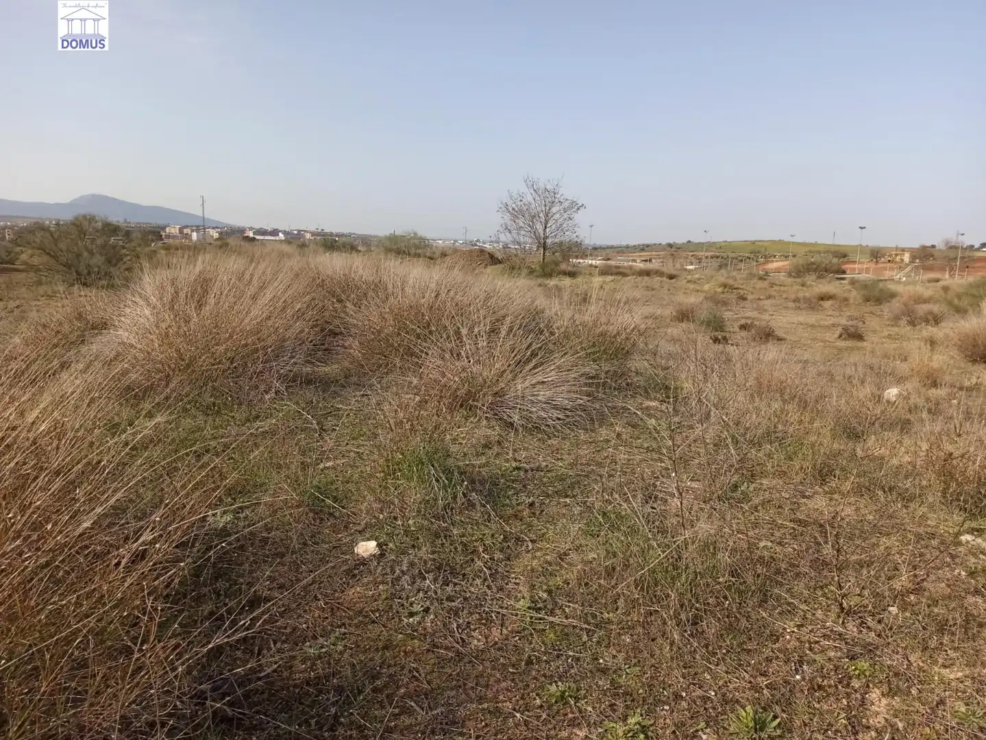 Terreni e lotti in vendita a Norte, imagen 5