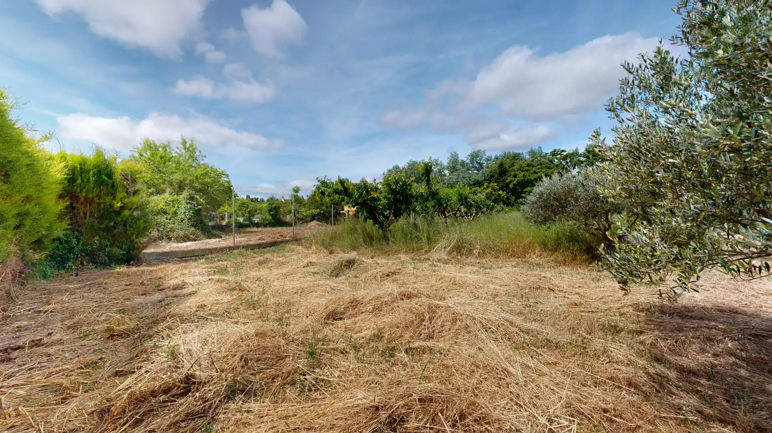 Rural land for sale in Tafalla - PARAJE LA RECUEJA, imagen 60