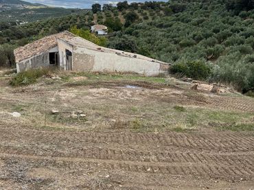 Terreno rustico in vendita a Almedinilla