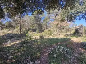 Country homes for sale in Santa Maria d'Oló
