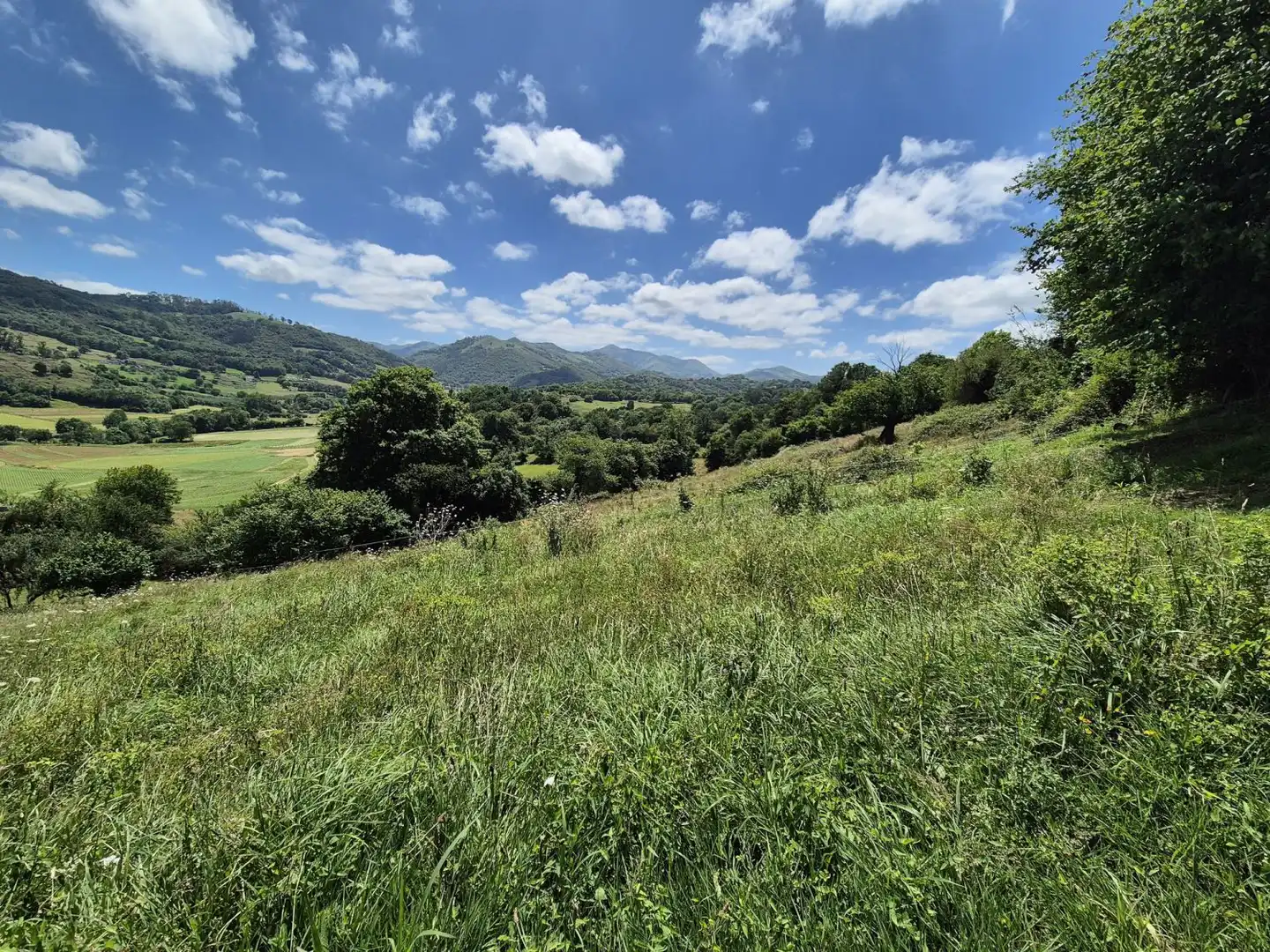 Residential land for sale in Grado, imagen 8
