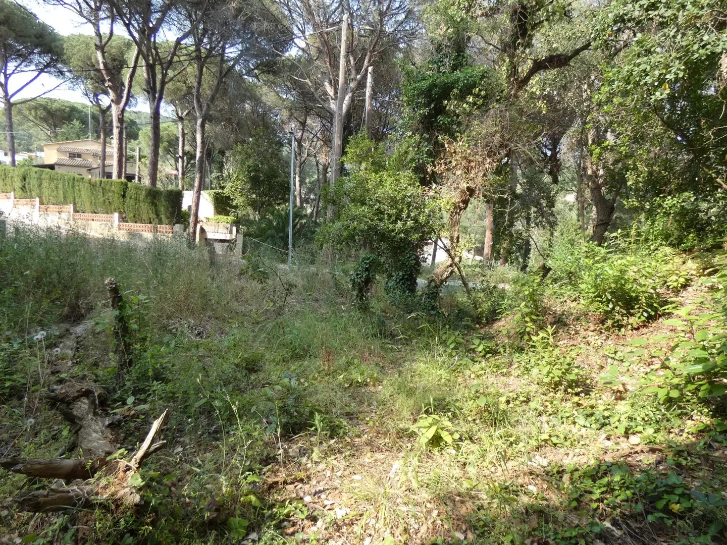 Wohnbaugrundstück zum Verkauf in Poble