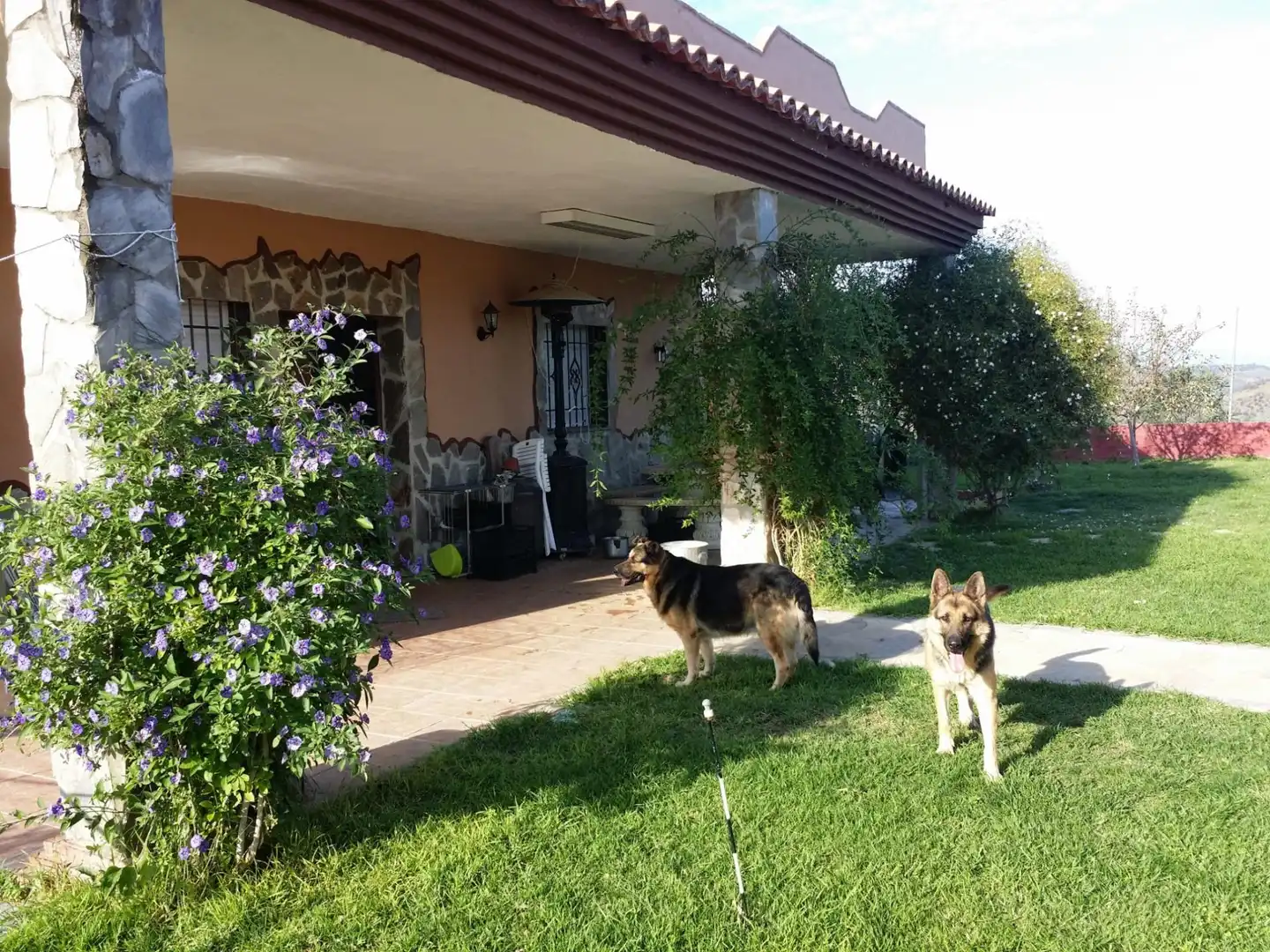 Garden of Houses for sale in Guaro  with Air Conditioner, Private garden and Terrace
