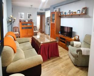 Living room of Flat for sale in  Sevilla Capital  with Air Conditioner and Furnished