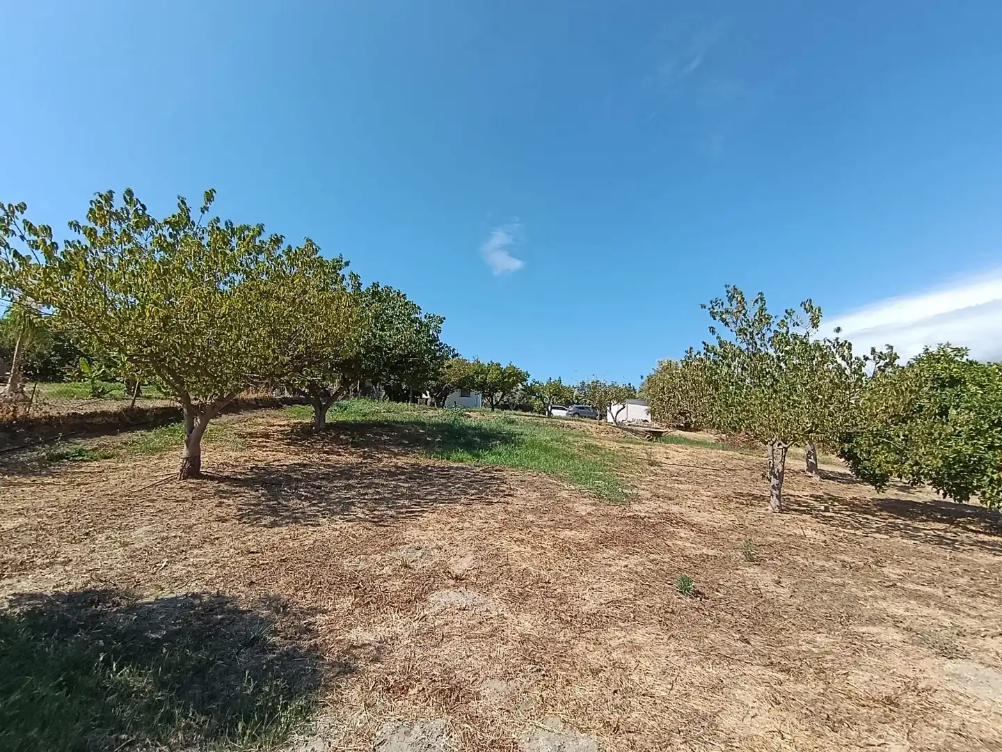 Maison avec jardin à vendre à Camino La Alberdina, imagen 17