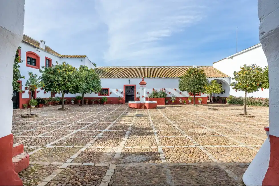 Casa rústica amb terrassa en venda a Carretera Guadajoz, imagen 33