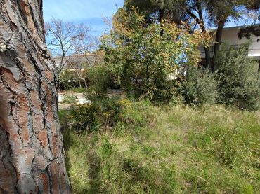 Terreny residencial en venda a Carrer Sal 10