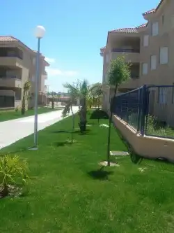 Piso con piscina en alquiler en Calle Albatros, imagen 15