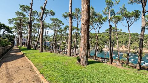 Foto 4 de Casa o chalet en venta en De la Perica, Tamariu, Palafrugell