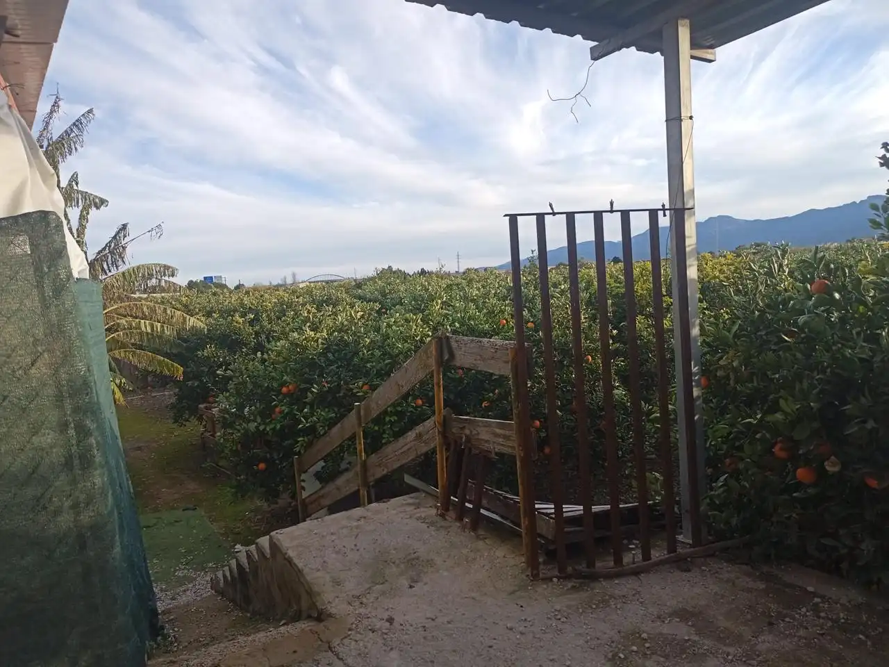 Country homes for sale in Sueca