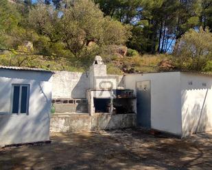 Garden of Country house for sale in L'Albiol