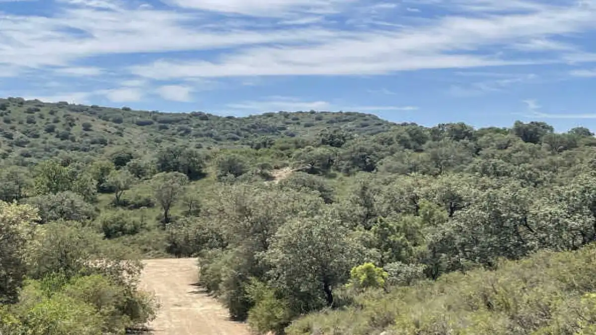 Residencial en venda en Castillonroy