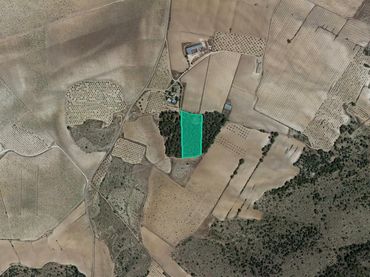 Terreno rustico in vendita a Paraje Calderón