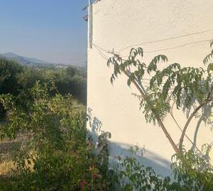 Foto 5 de Finca rústica en venda a Partida de Moreno y Vicenta, Centro, Málaga