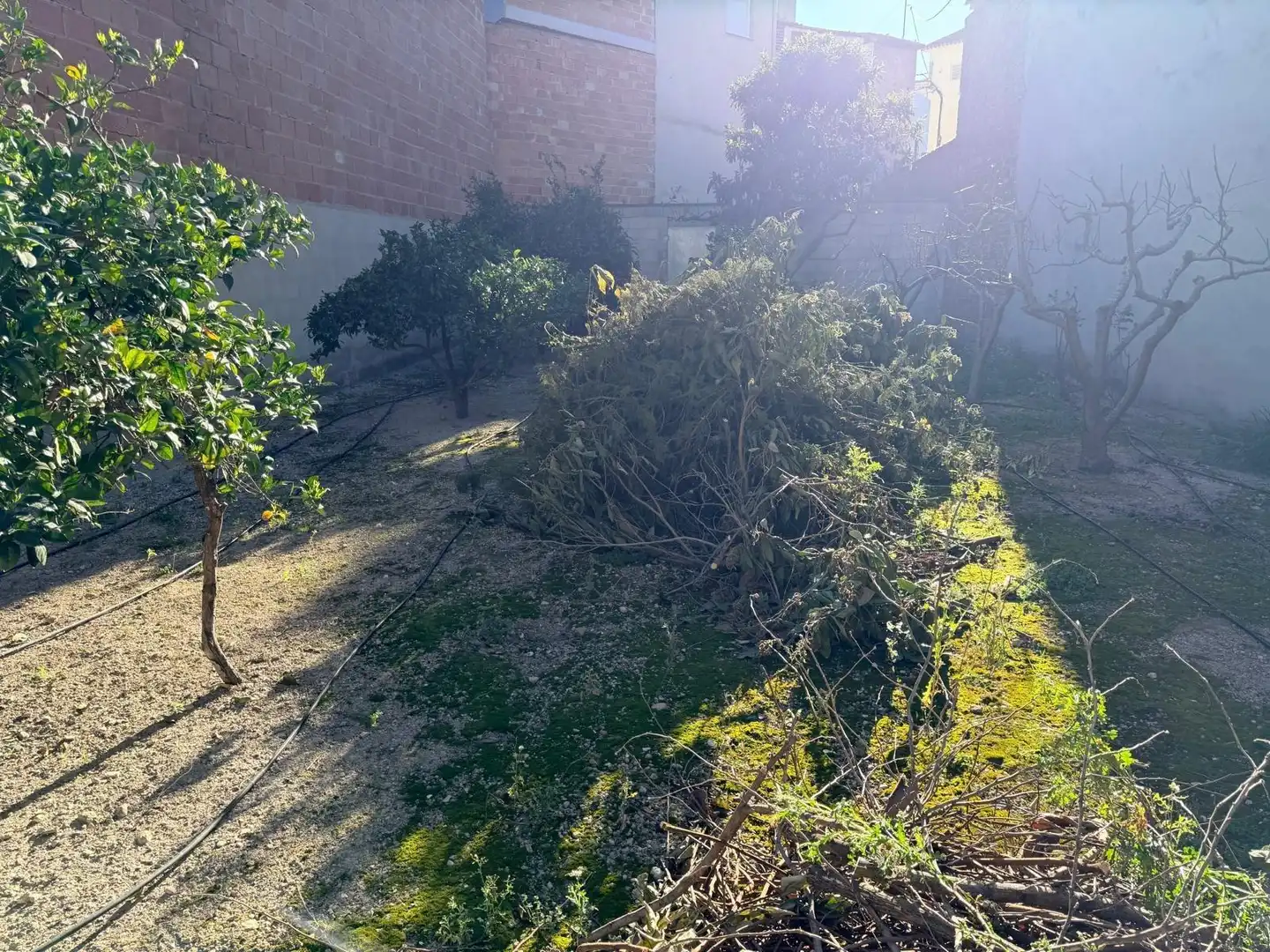 Terreno residencial en venta en Bélgida, imagen 6